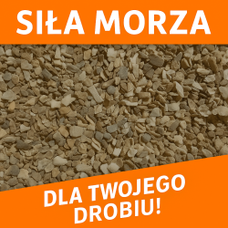 Muszle morskie dla niosek kur niosek drobiu 20 kg mocna skorupka